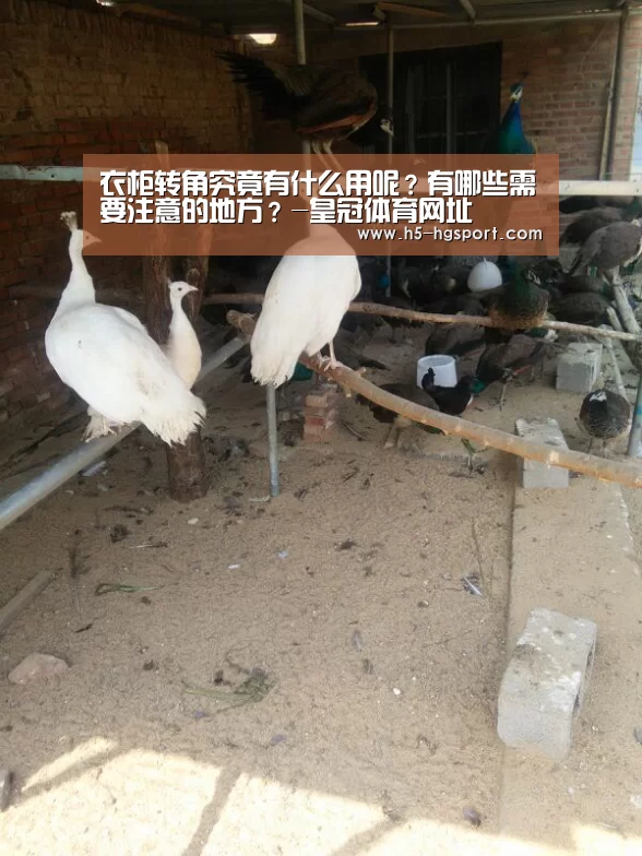 衣柜转角究竟有什么用呢?有哪些需要注意的地方?-皇冠体育网址(图1) 皇冠体育app