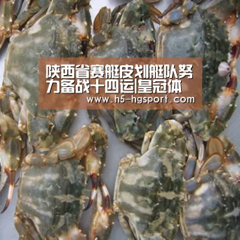 陕西省赛艇皮划艇队努力备战十四运|皇冠体育官网(图3) 皇冠体育app