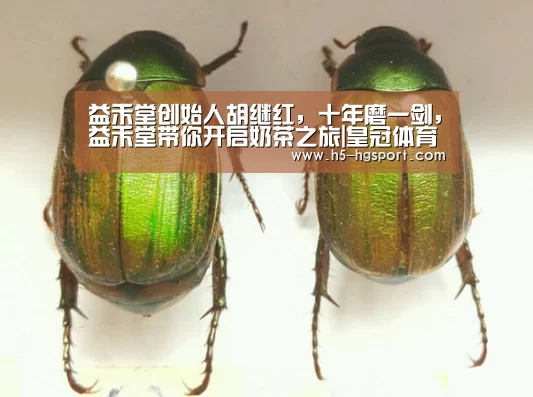 益禾堂创始人胡继红,十年磨一剑,益禾堂带你开启奶茶之旅|皇冠体育网址(图1) 皇冠体育网址